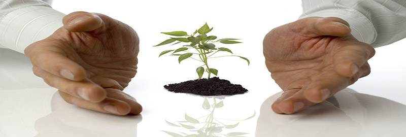 Forget about your problems!